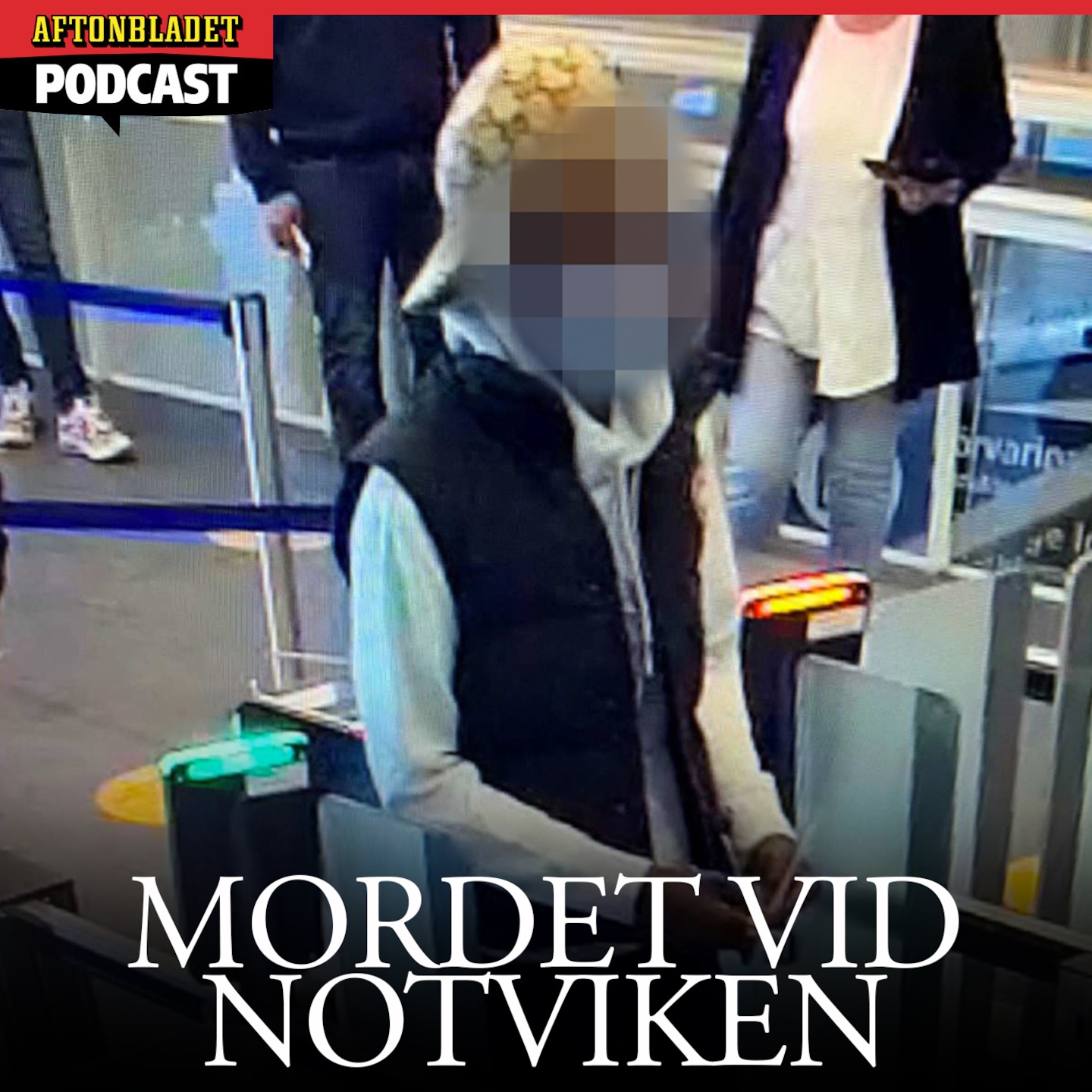 Mordet vid Notviken