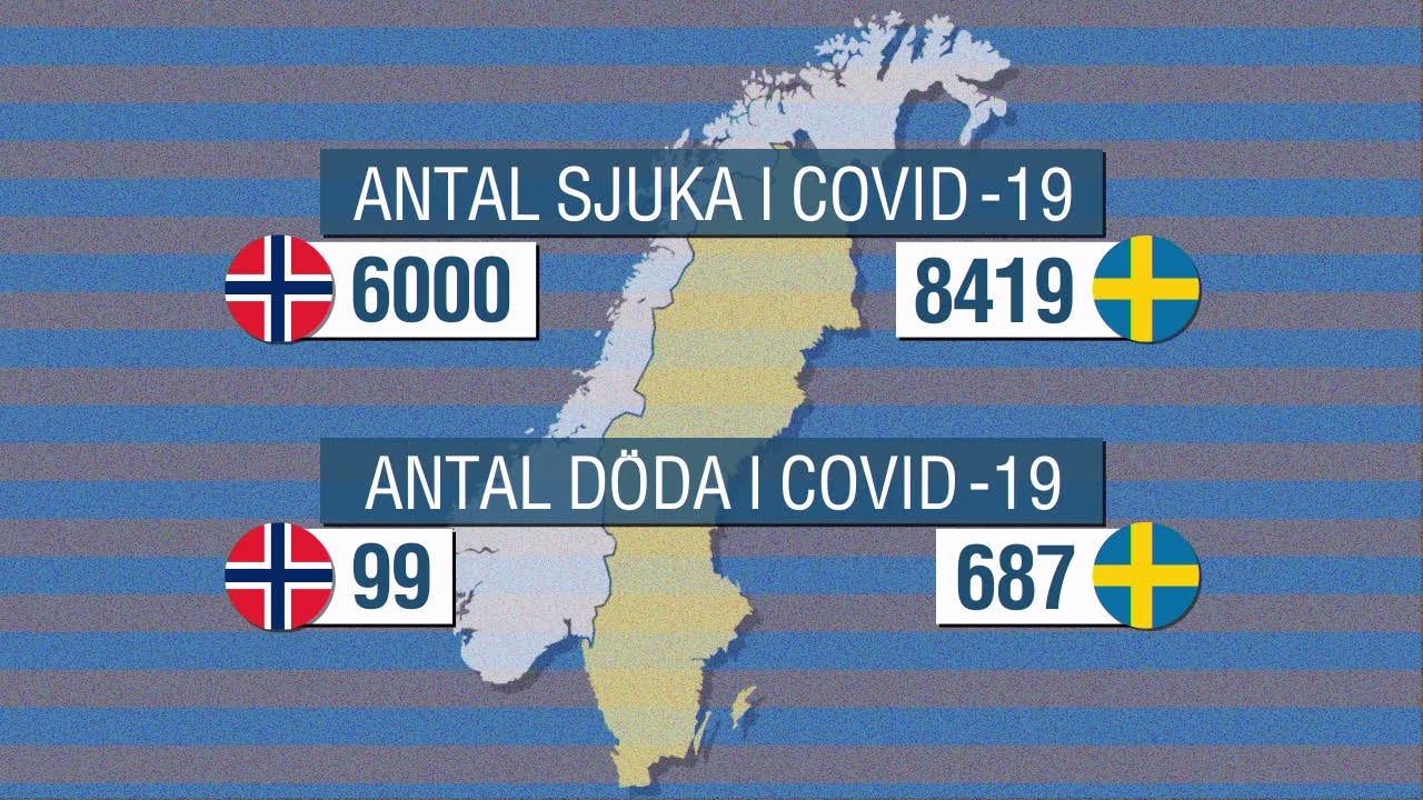 Läkardebatt Sverige vs. Norge – vems coronastrategi är bäst?