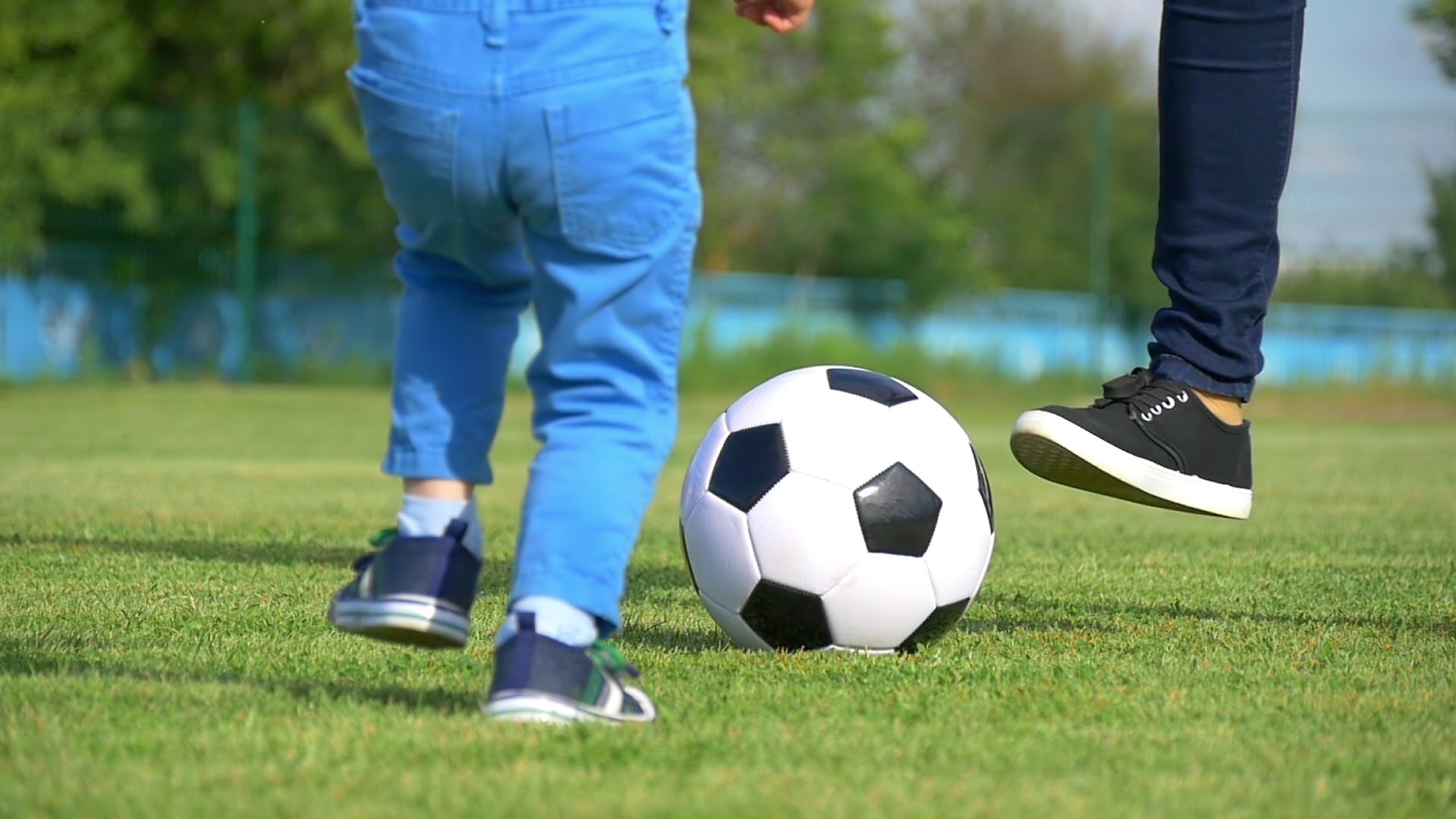 Så får du en perfekt gräsmatta