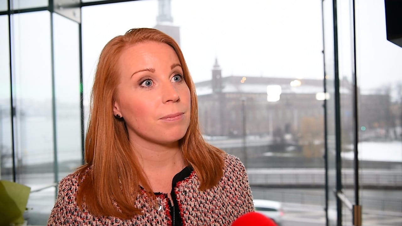 Annie Lööf (C) vill skärpa lagarna – "Orimligt att våldtäksdömda kommer ut efter så kort tid"