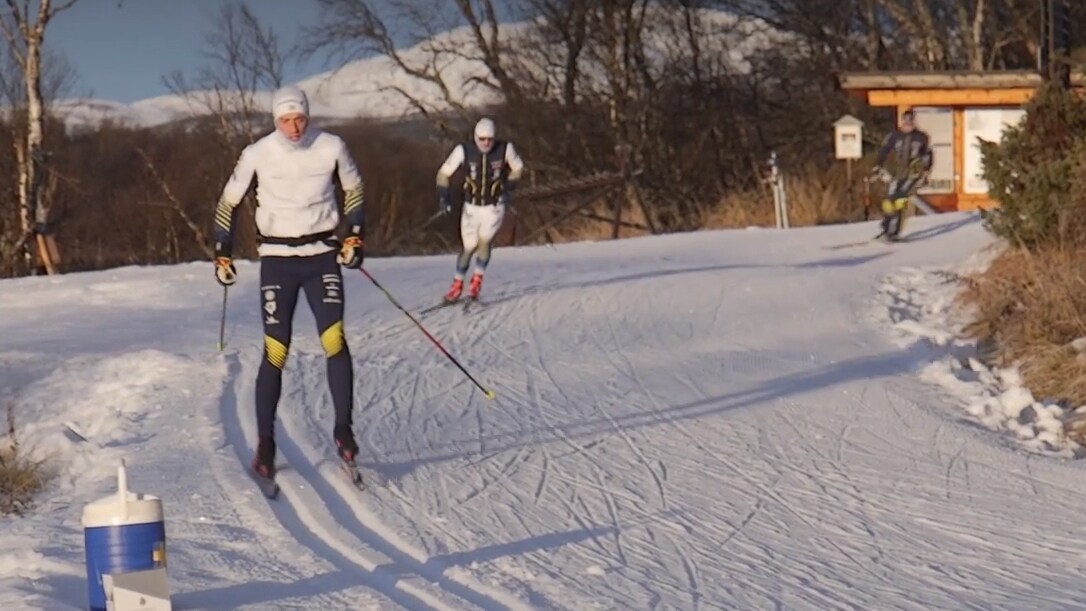 ”Calle ljuger, det är mygel”