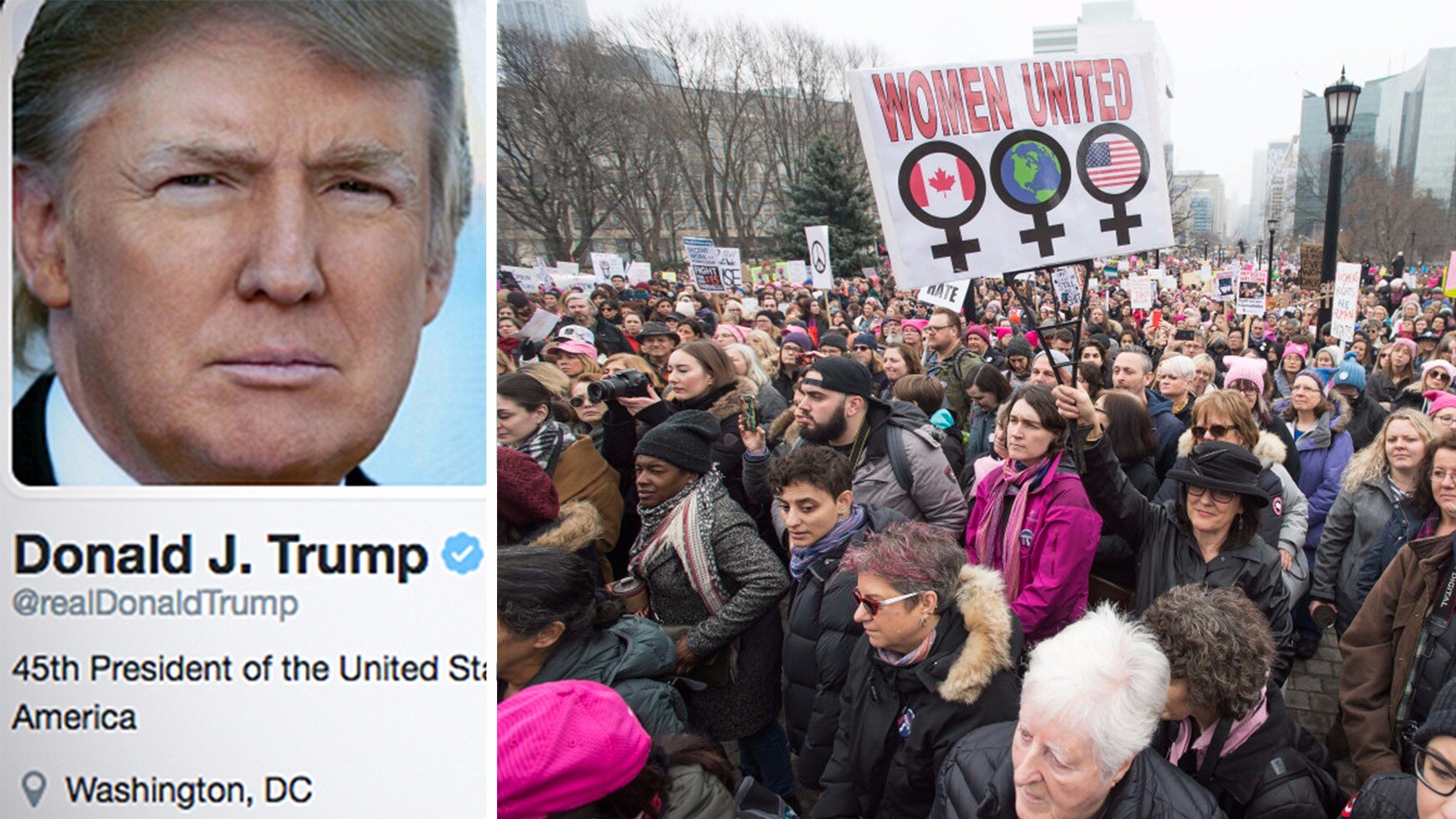 Trump angriper demonstranter