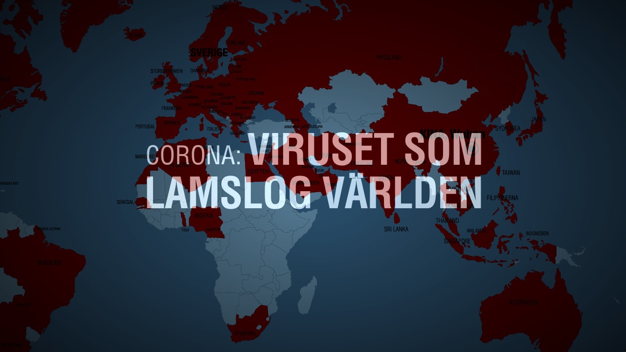 Corona - viruset som lamslog världen