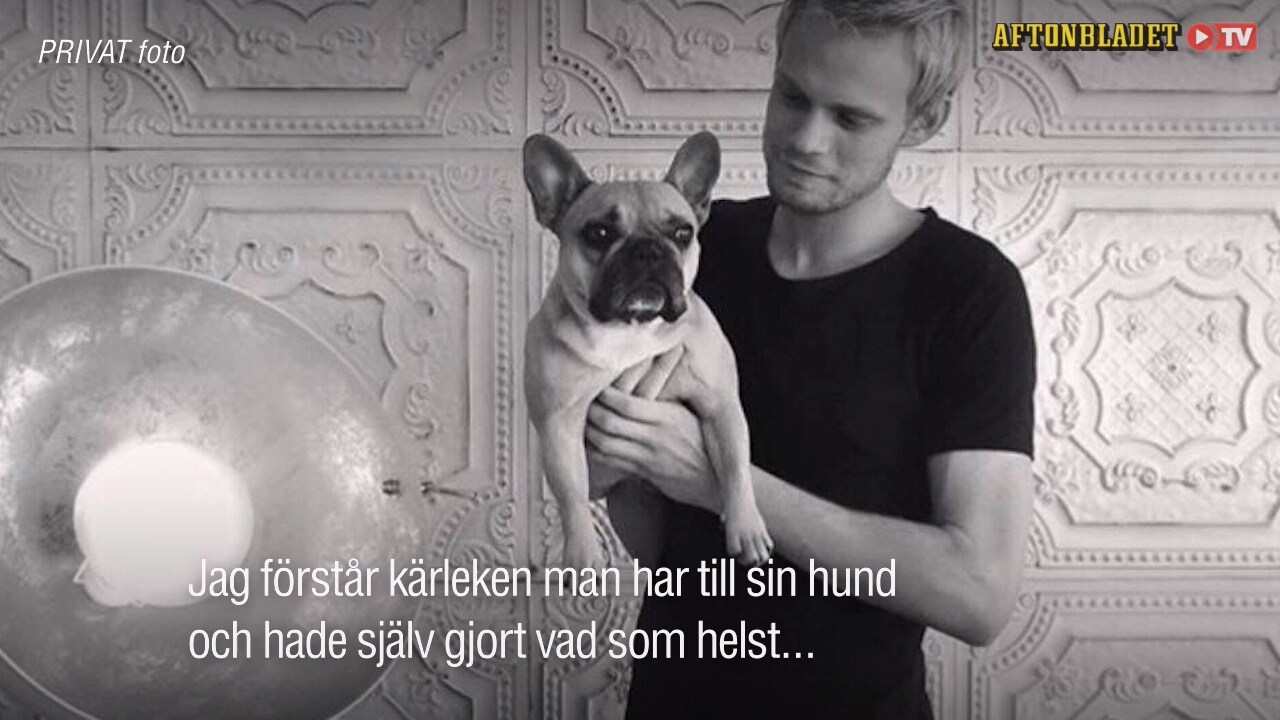 Pudeln Ella attackerades av schäfer – räddades av Rasmus