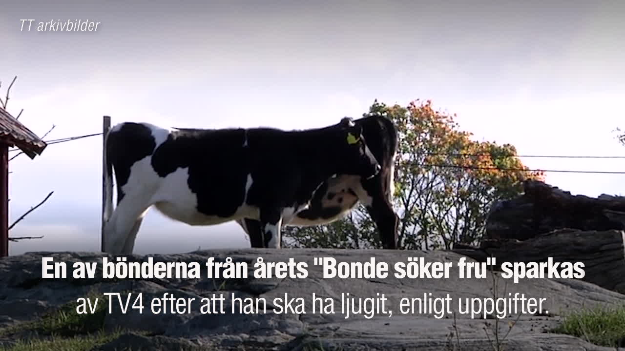 Linda Lindorff om "bluff-bonden": "Man måste självklart vara singel"