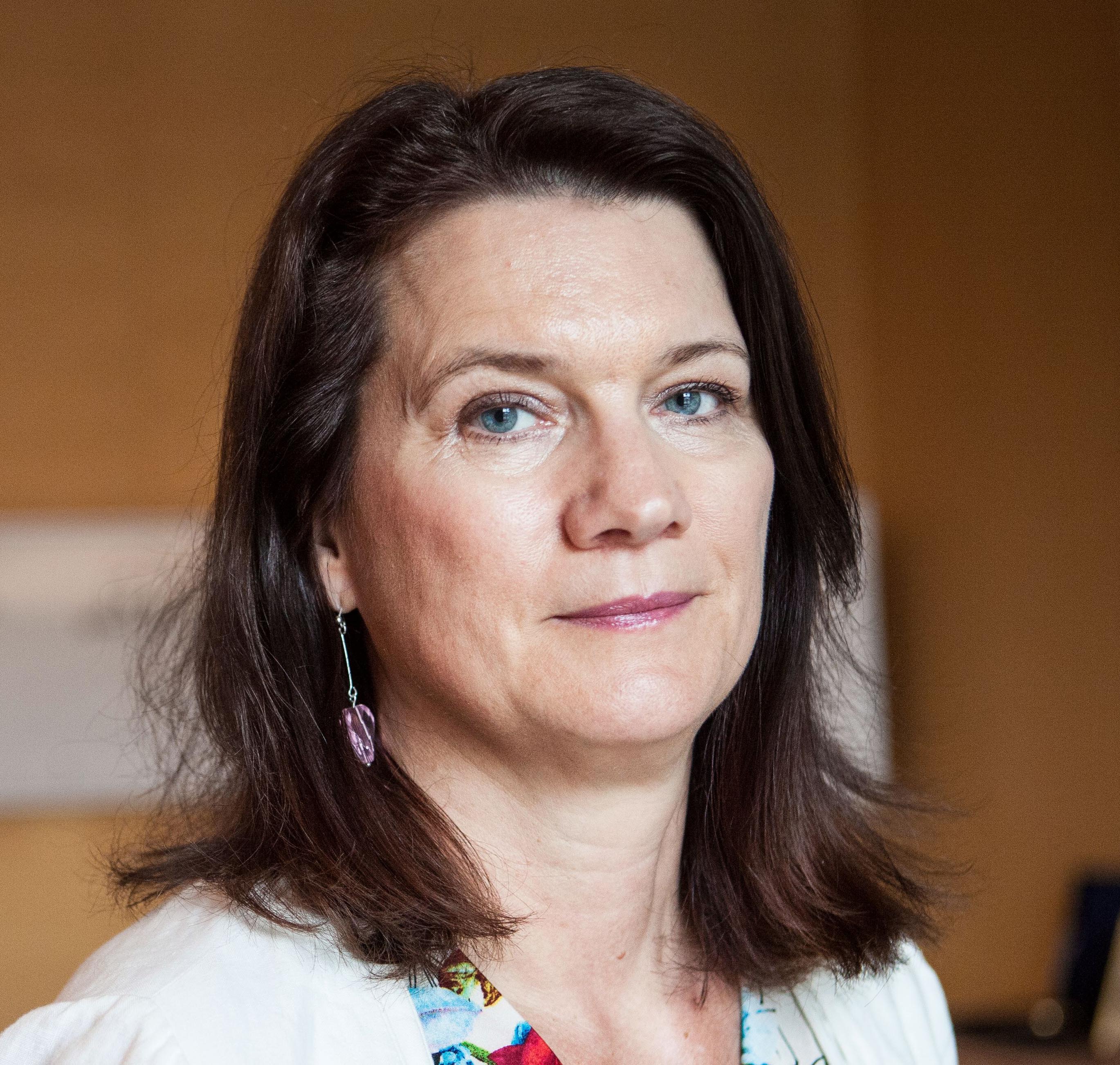 Ann Linde sa inget kontroversiellt