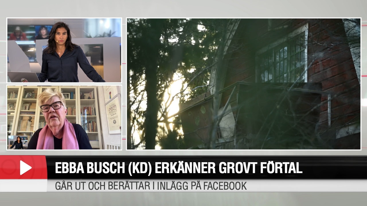 Lena Mellin om att Ebba Busch erkänner grovt förtal: "Förminskar sin skuld"