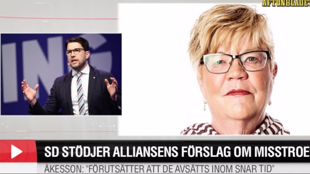 Åkesson: "Vi stödjer Alliansens förslag"