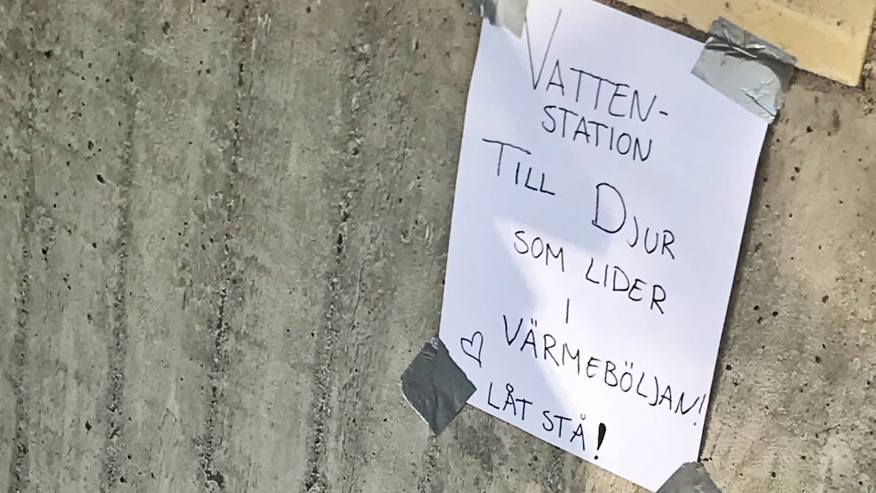 Dalia, 24, fixar vatten åt djuren