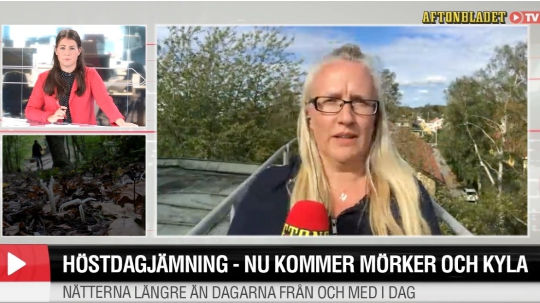 Höstdagjämning – nu kommer mörker och kyla