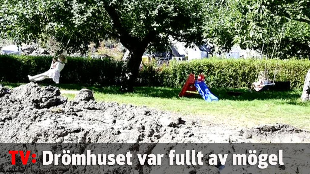 Drömhuset var fullt av mögel