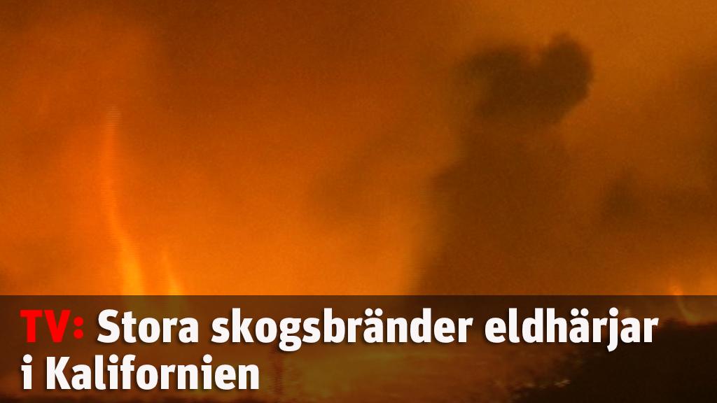 Stora skogsbränder eldhärjar i Kalifornien