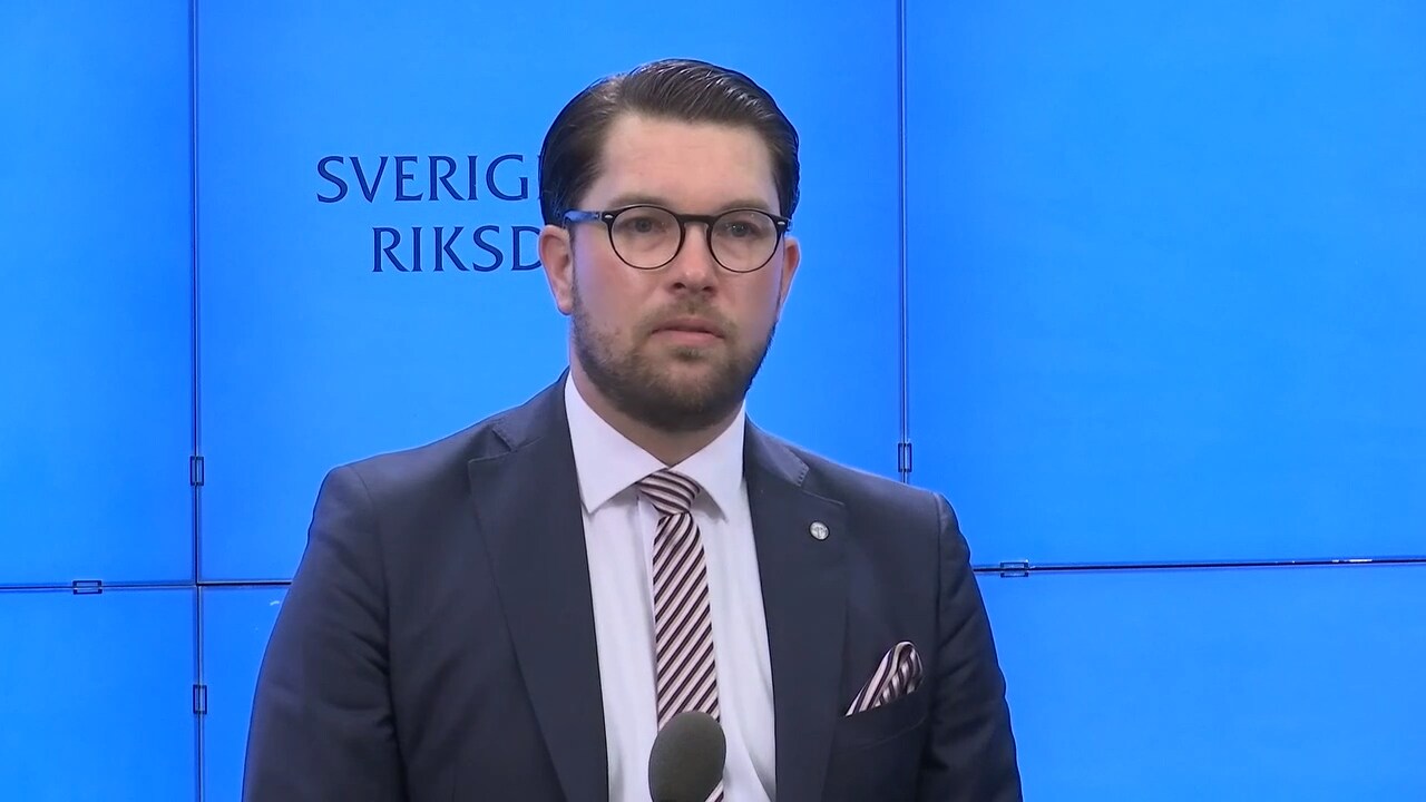 Åkesson (SD): ”Verkar blunda och hoppas”