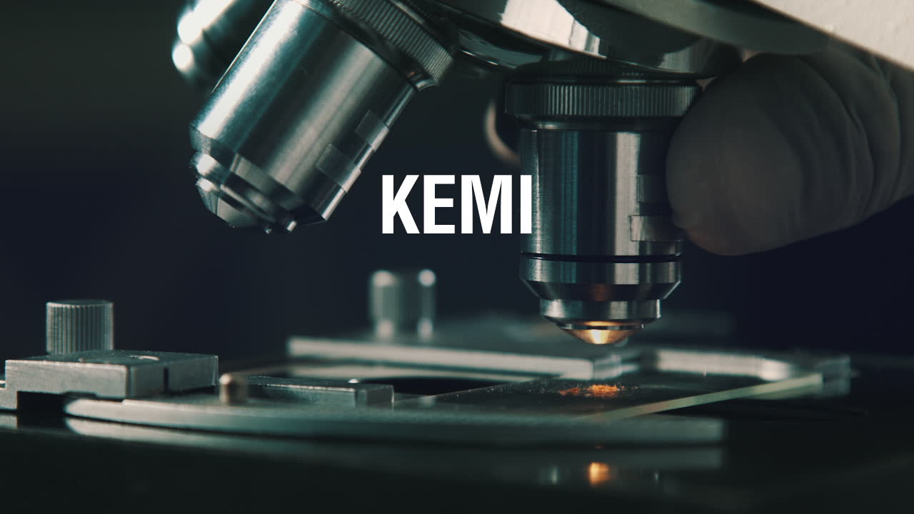 Här är årets nobelpristagare