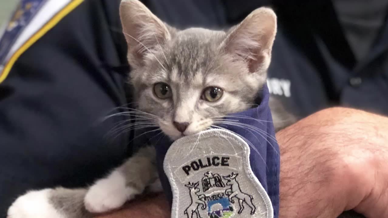 Är det här världens sötaste polismedarbetare?