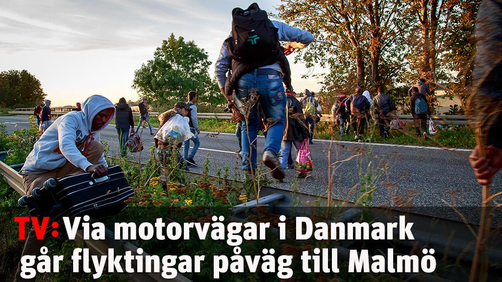 Via motorvägen går flyktingarna till Sverige