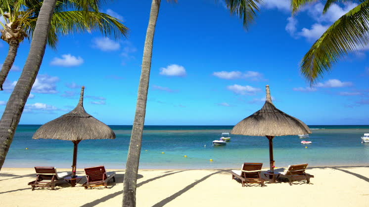 Från budget till lyx - hit åker du i höst