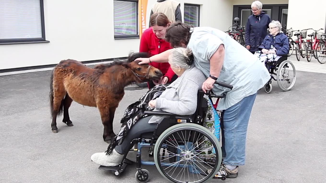 Så piggar vårdhästen Allys upp pensionärerna