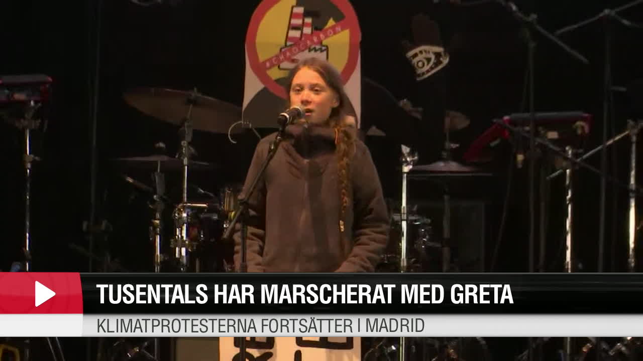 Greta Thunberg:  Världsledarna måste börja ta ansvar