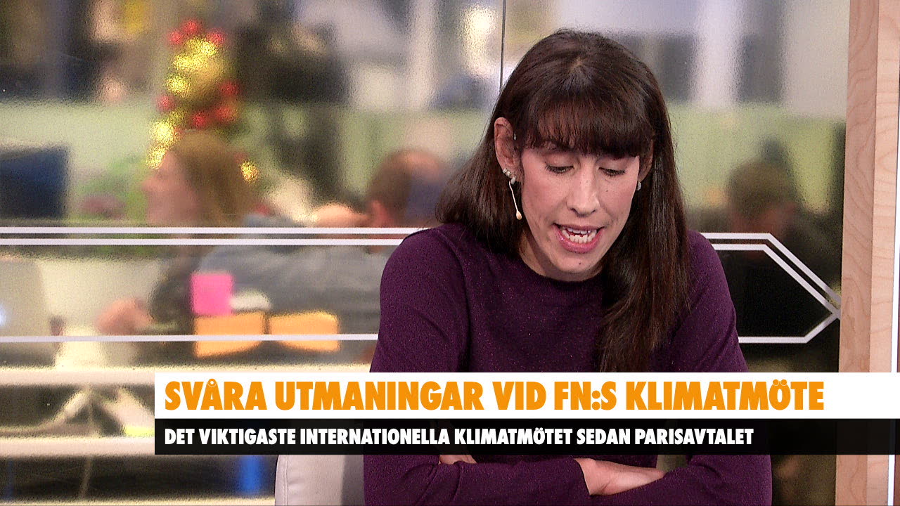 Miljöforskaren Beatrice Crona om klimatmötet: ”Enormt problematiskt”