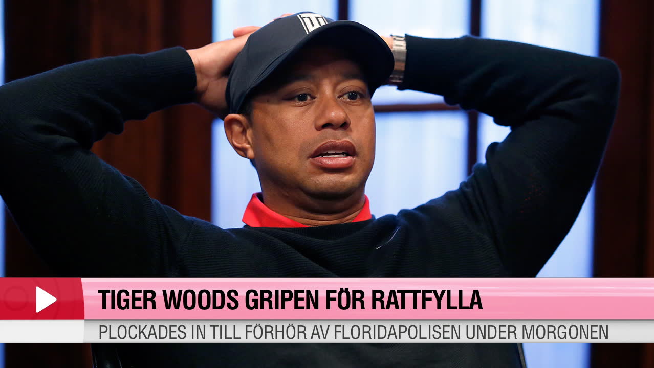 Tiger Woods gripen för rattfylleri