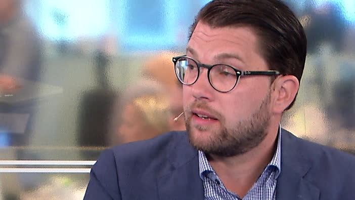 Jimmie Åkesson: "Hon ljuger helt skamlöst"