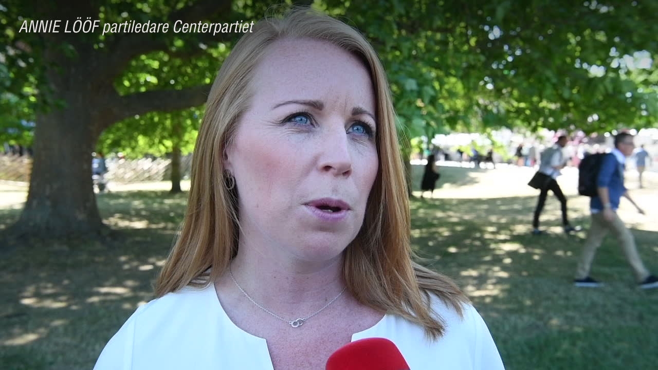 Annie Lööf om föreslagna satsningen på nyanlända: Vill införa integrationsår