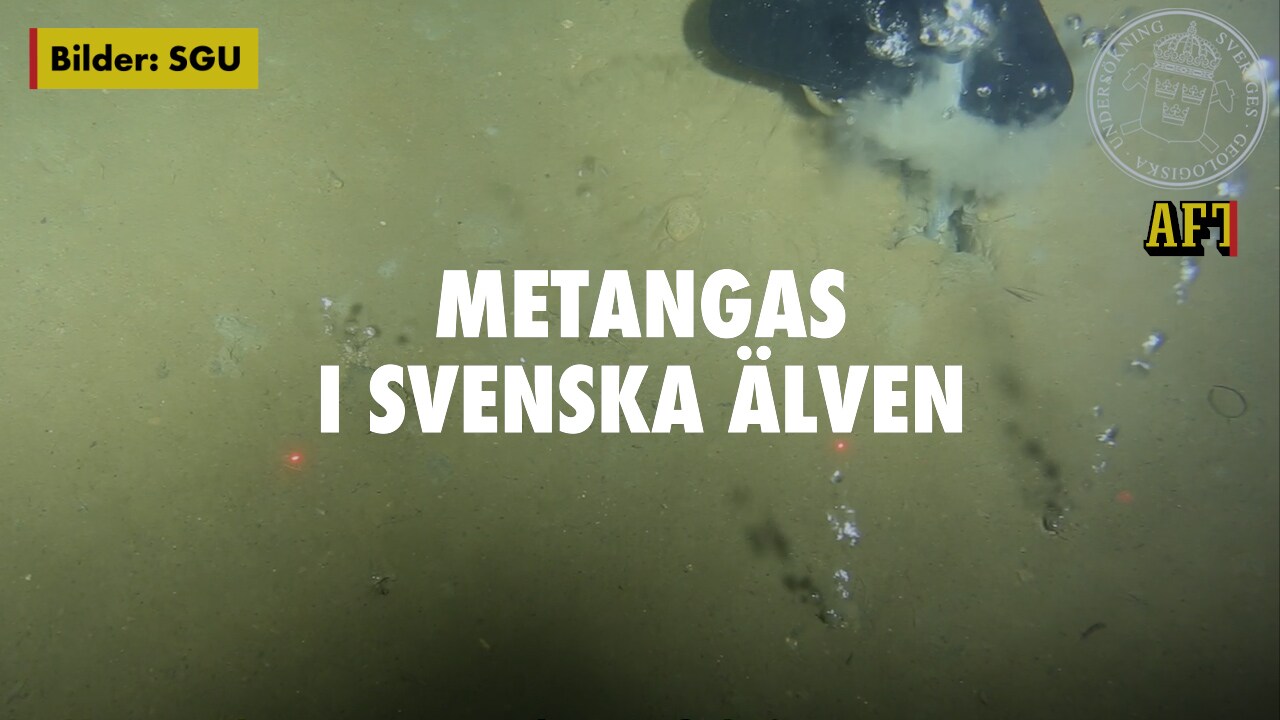 Här börjar metangas bubbla ur sjöbotten