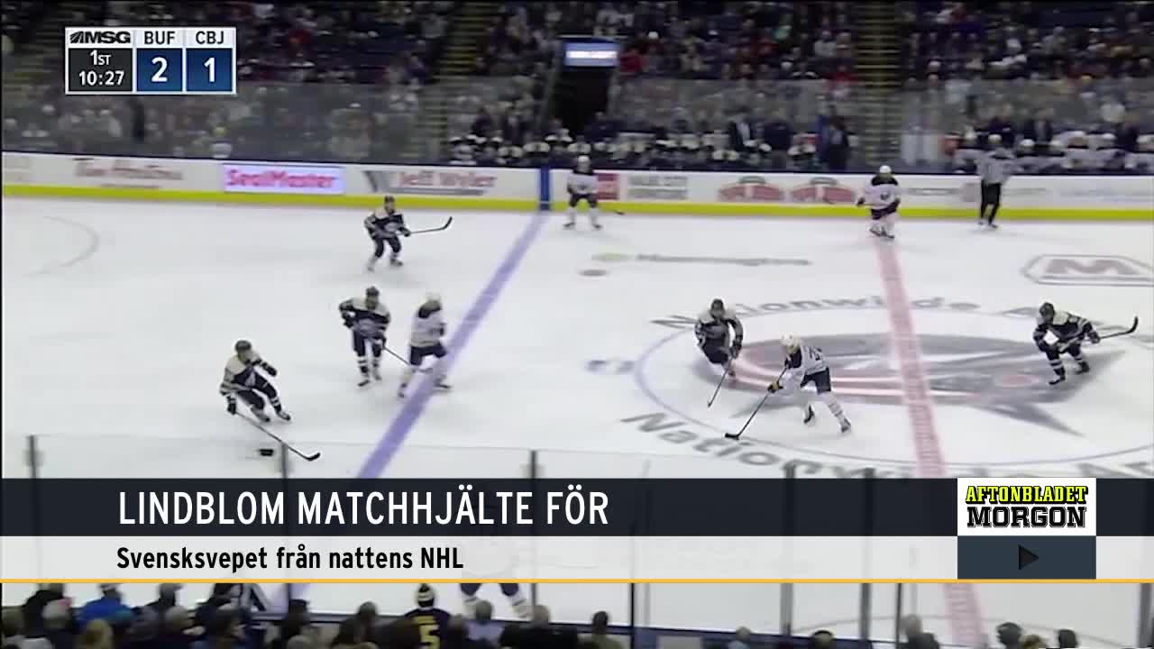 Dahlin bakom Sabres seger i natt