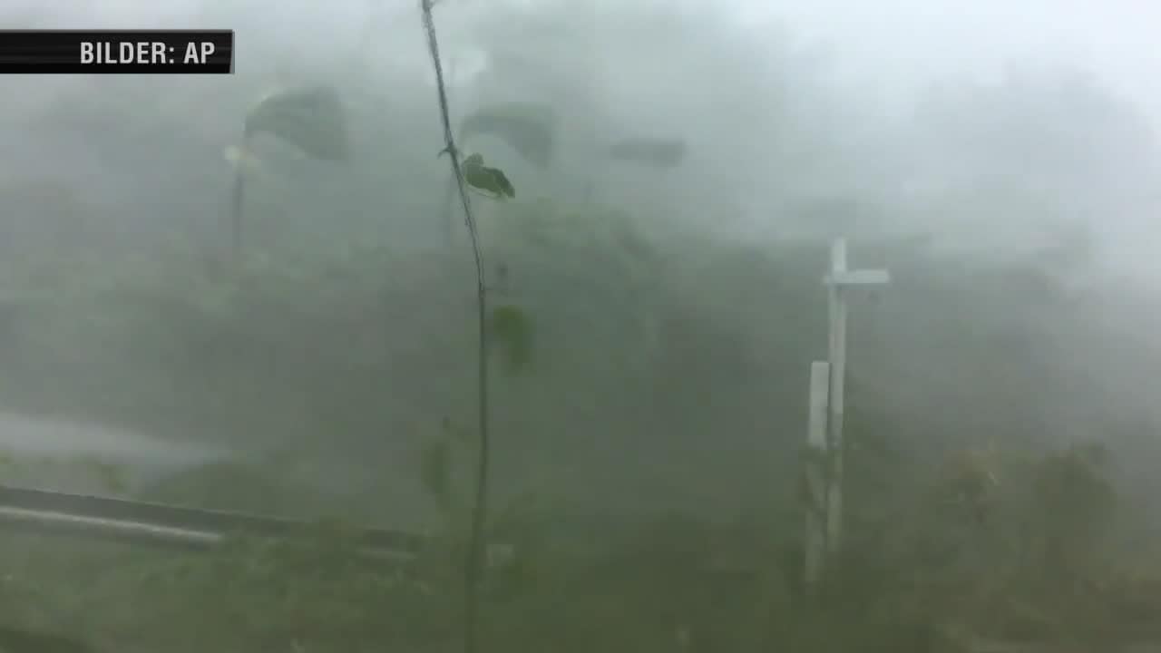 Orkanen Irma - så är läget just nu