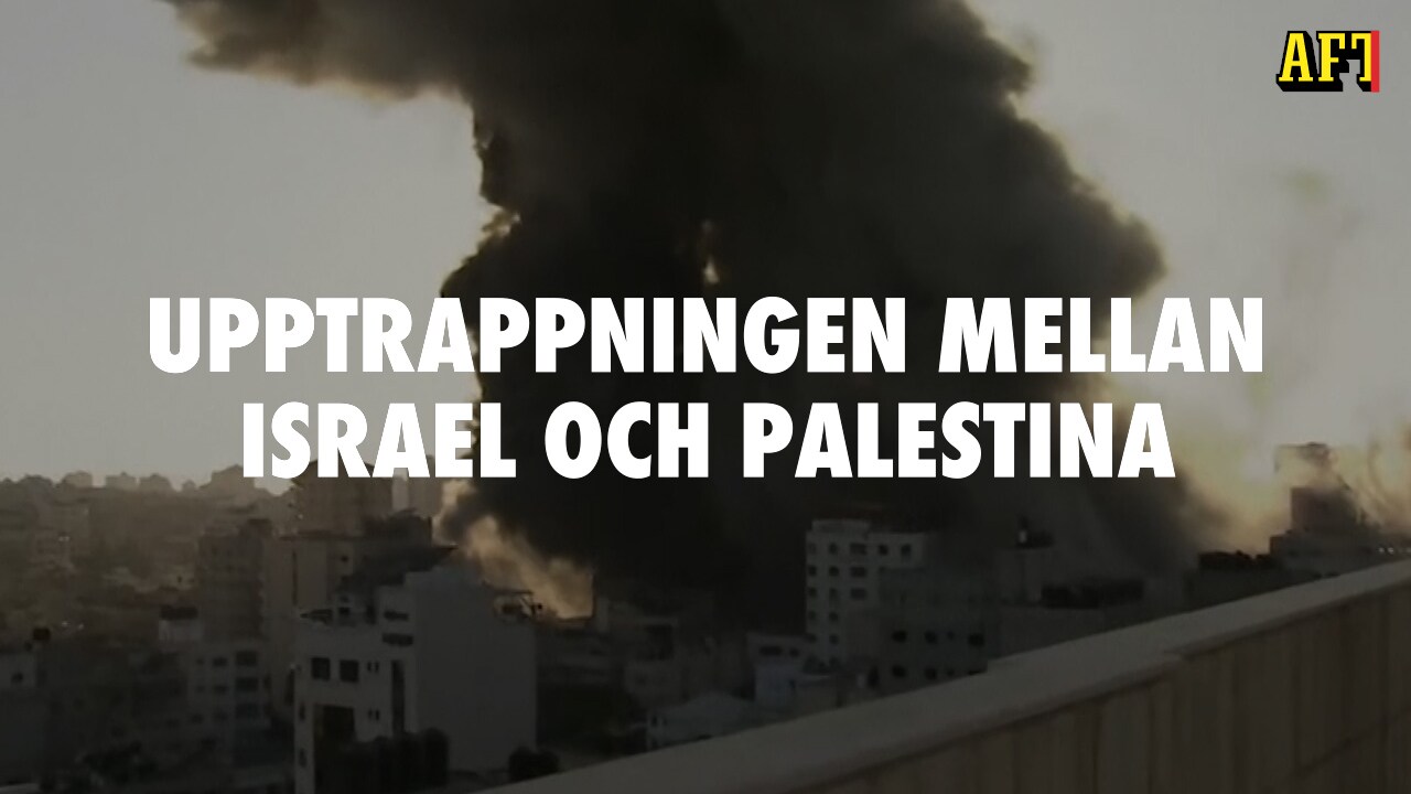 Förklaring på två minuter – detta händer nu mellan Israel och Palestina