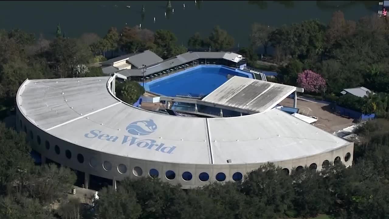 Tilikum "Dödspäckhuggaren" – död