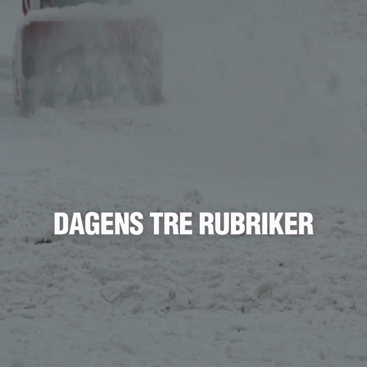 Dagens tre rubriker