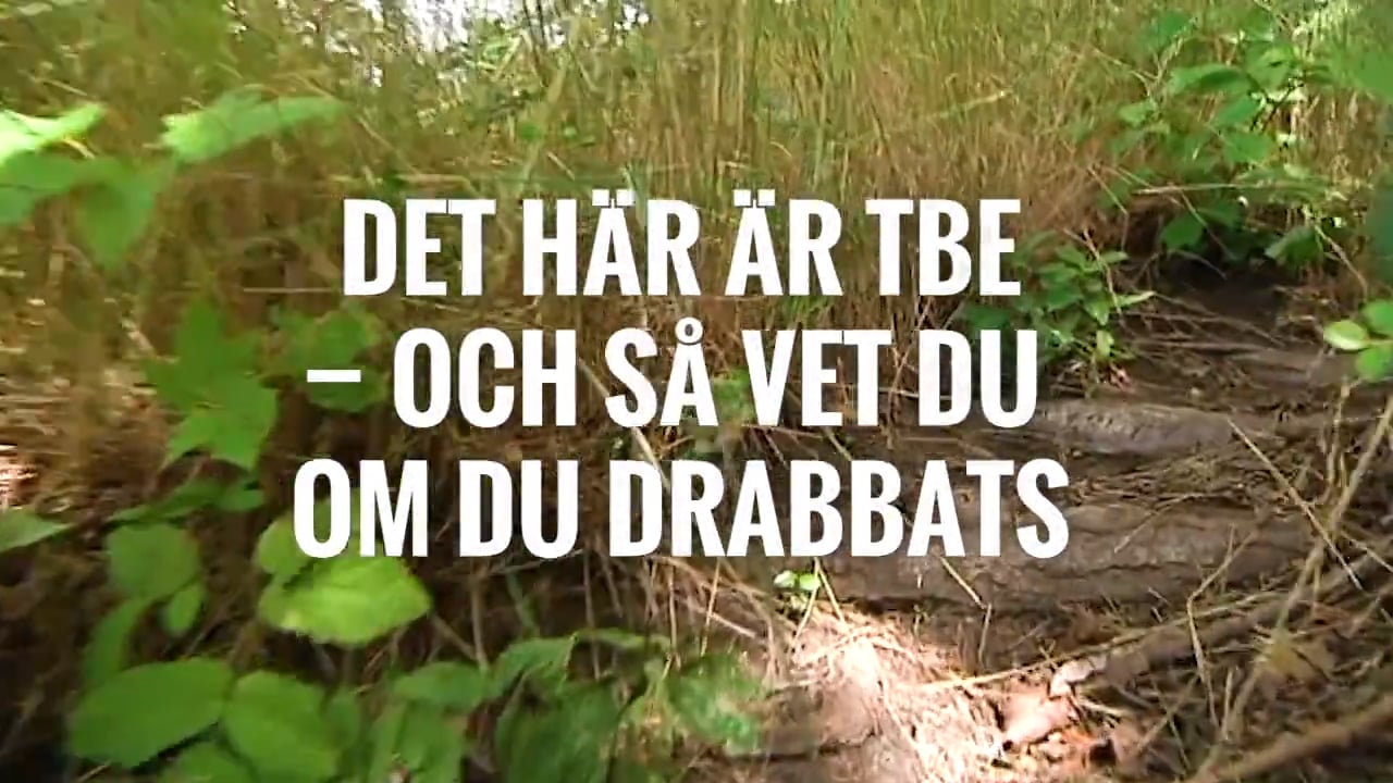 Så vet du om du drabbats av TBE