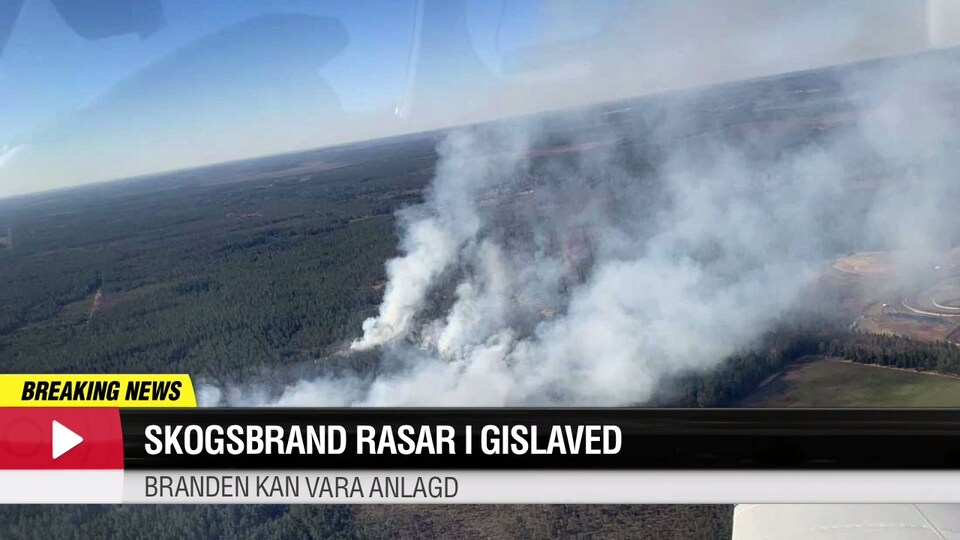 Skogsbrand rasar - kan vara anlagd