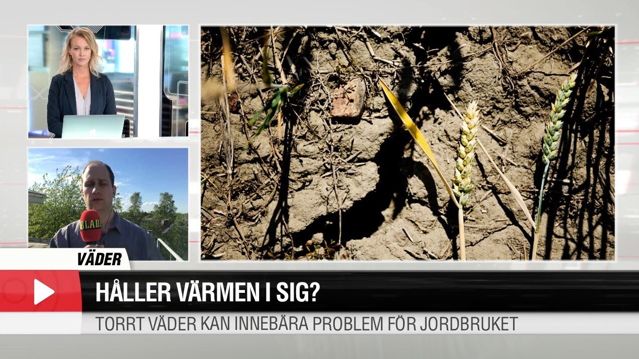 Håller värmen i sig?