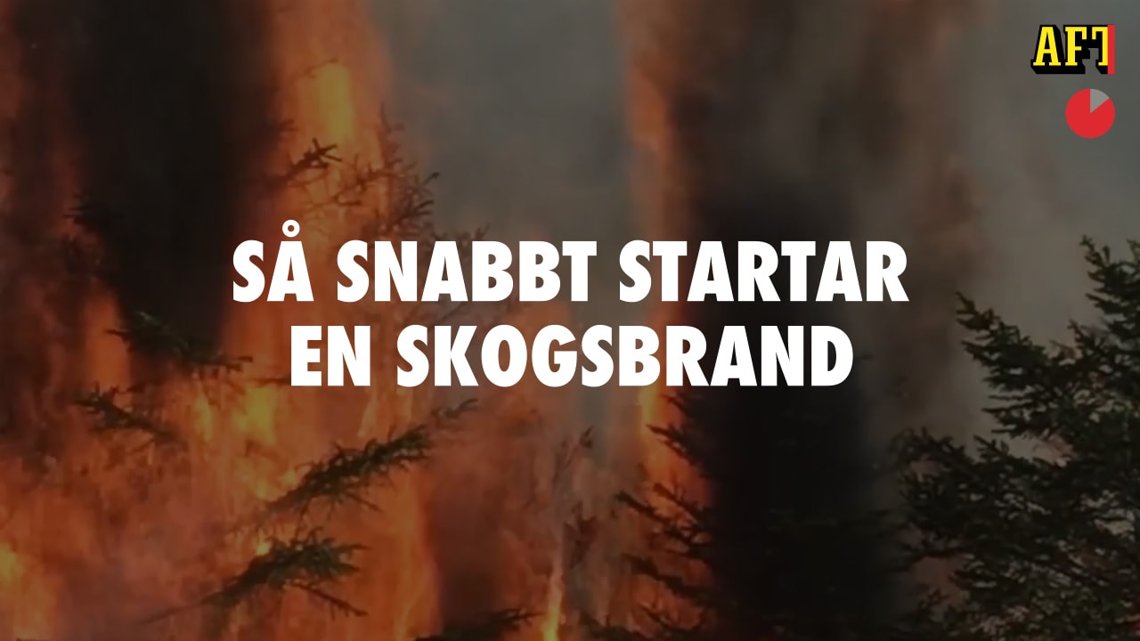 Så snabbt startar en skogsbrand