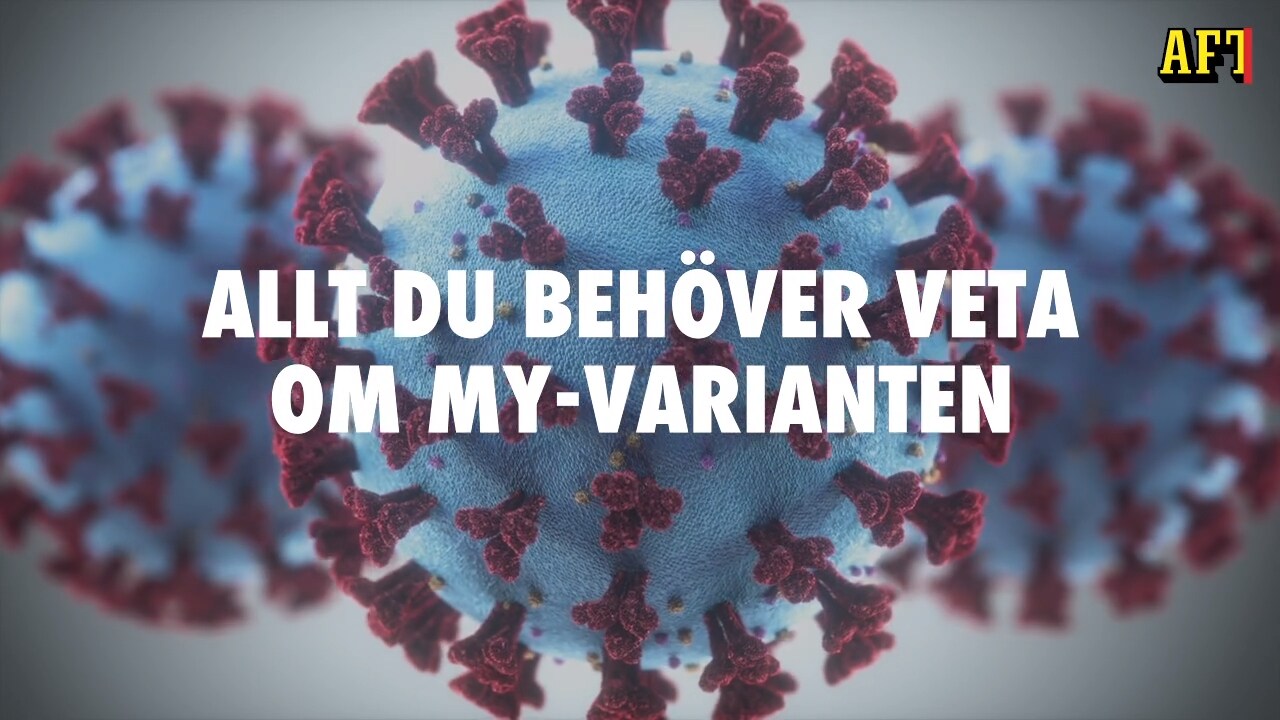 Allt du behöver veta om my-varianten