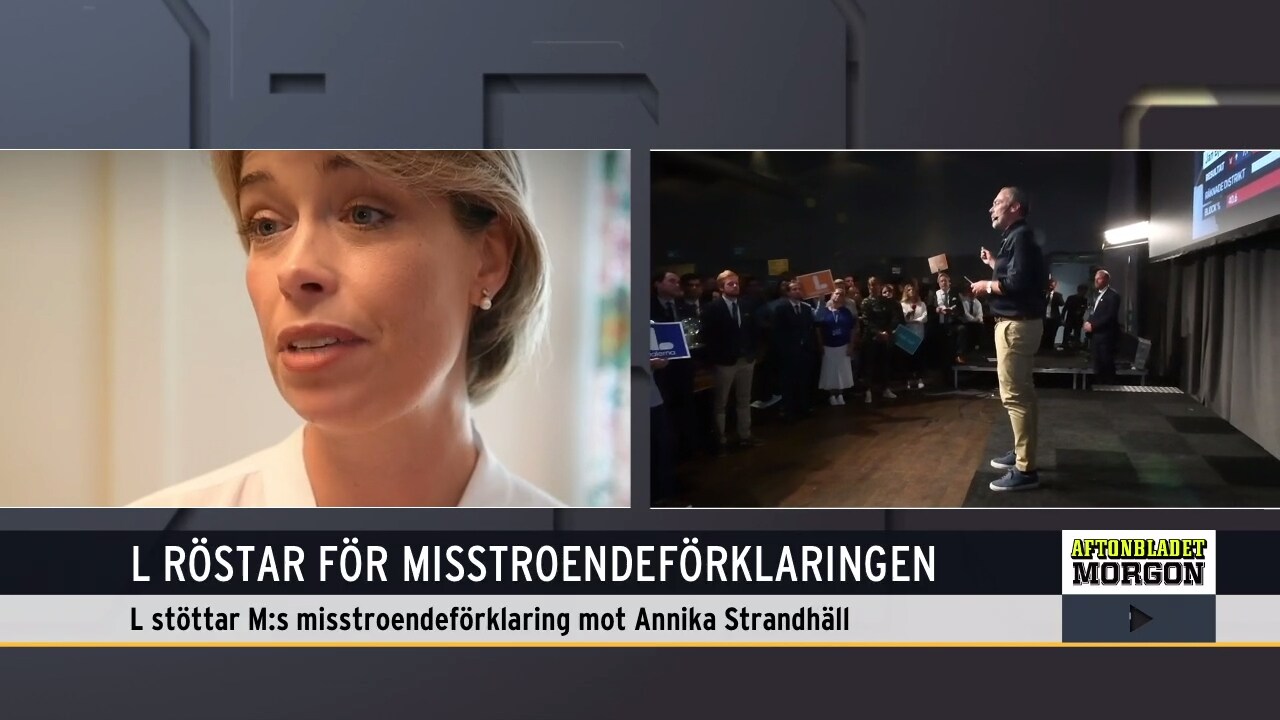 L röstar för misstroendeförklaringen