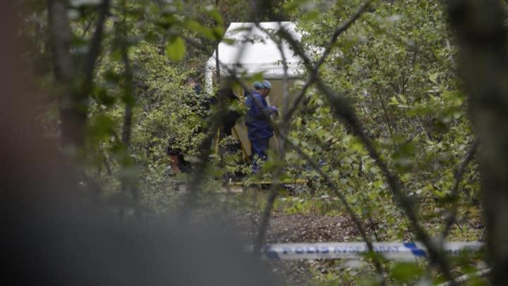 16 år för styckmord