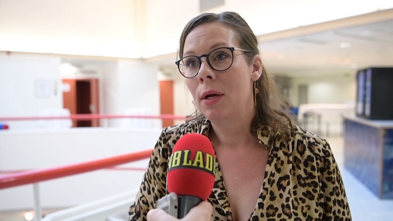 Asylsökande som begår brott ska utvisas - hör Moderaternas migrationspolitiska talesperson om förslaget