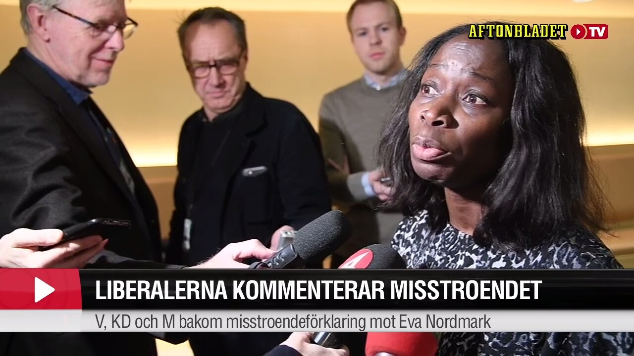 Nyamko Sabuni (L): Vi är beredda att se över kvaliteten i reformen