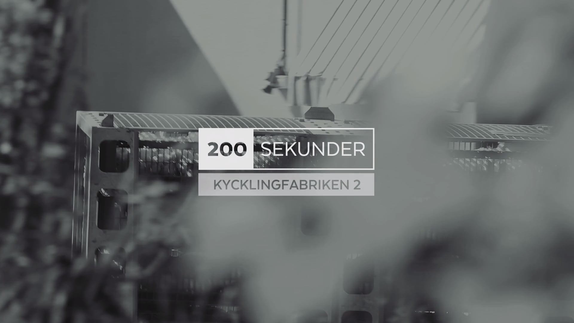 200 sekunder: Kycklingfabriken 2