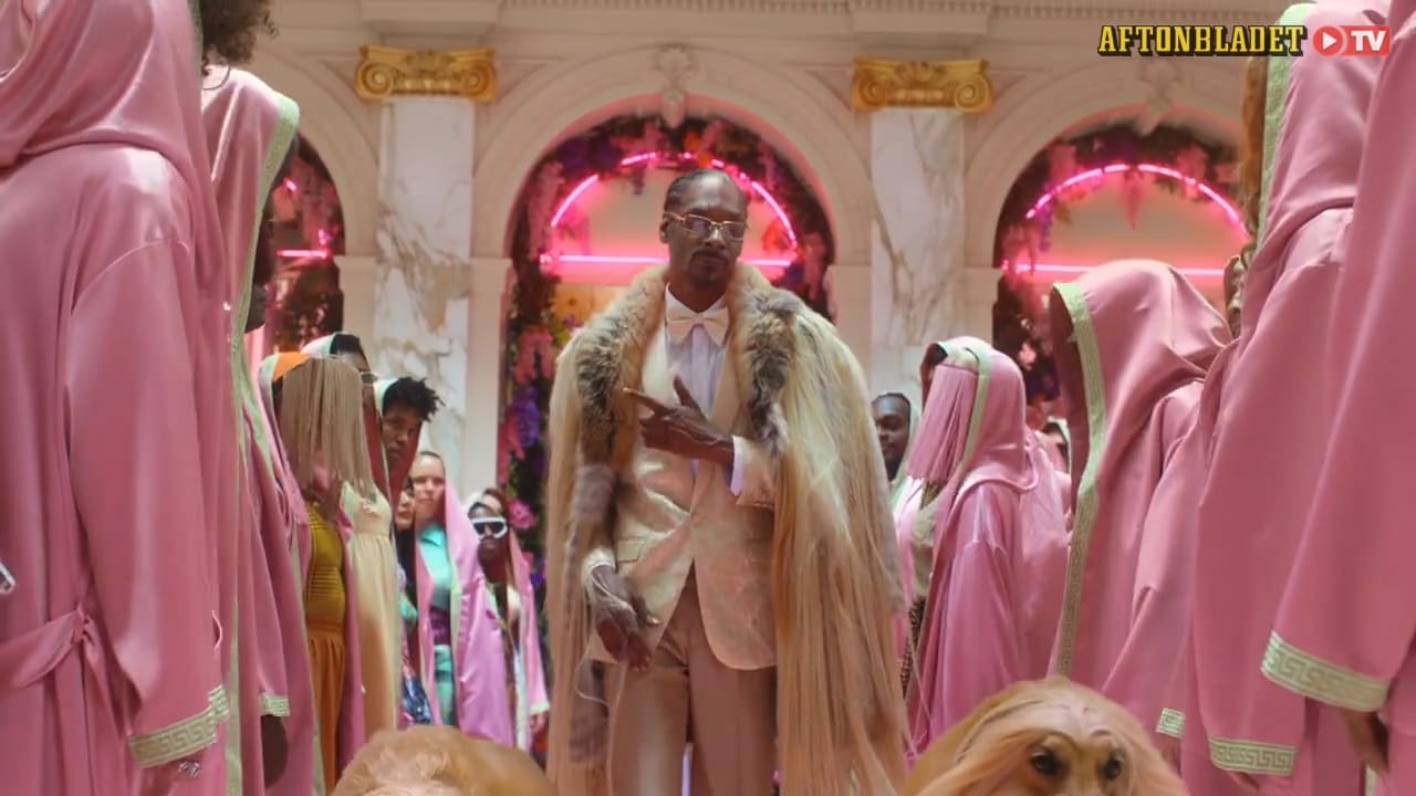 Snoop Dogg blir delägare i svenska bolaget