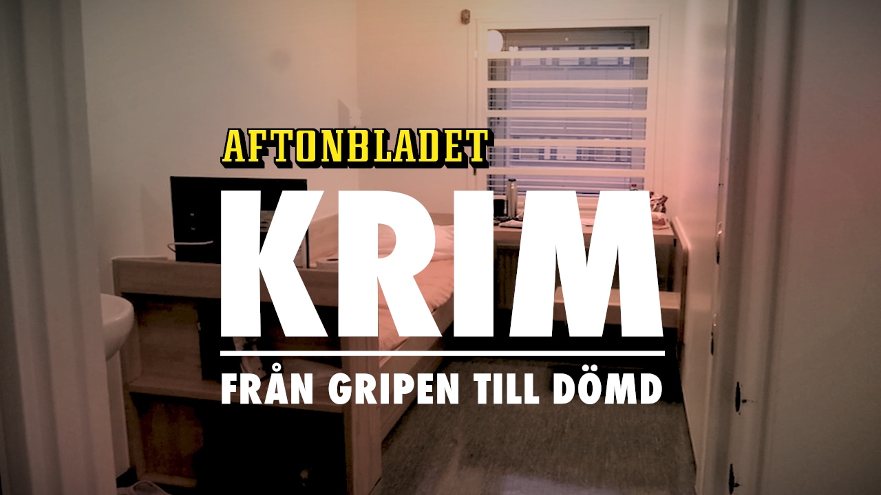 Från gripen till dömd