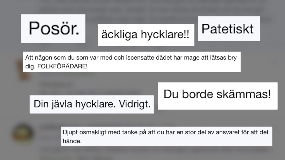 Ministern upprörs av näthatet mot Lööf