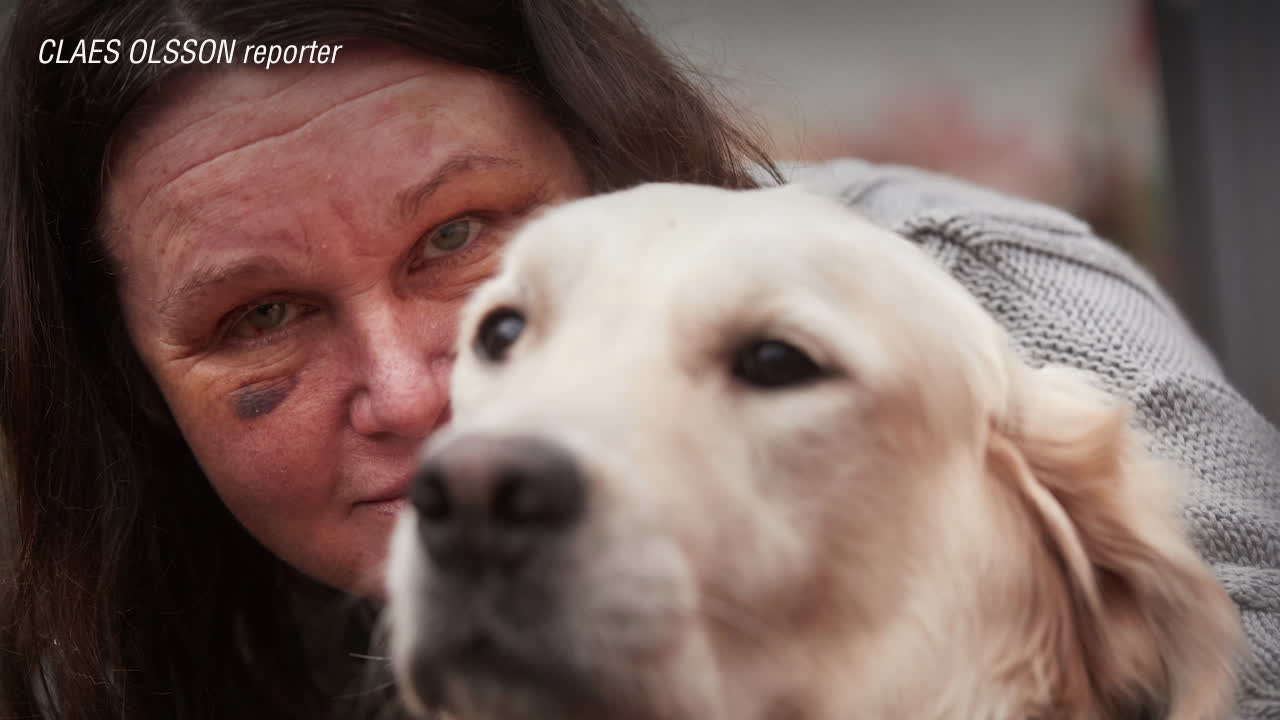 Eivor rånades på valpar – fyra personer har gripits