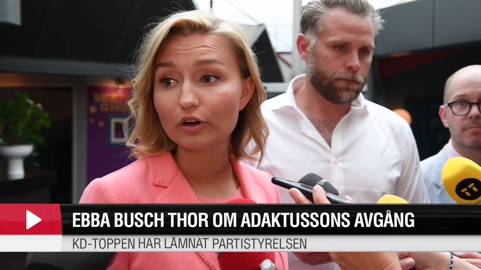 Adaktusson: Informerat om hur jag röstat