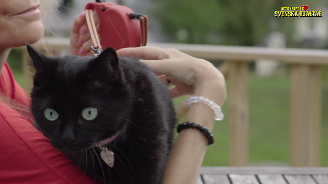 Katten Stumpan räddar livet på Malin