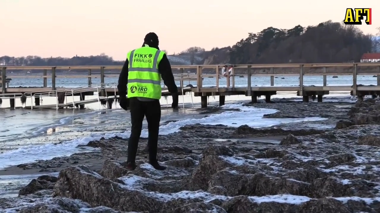 Vännerna söker efter Maline, 31